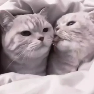 Стикер Я заебалась создавать новые стикеры - 4