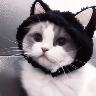 Стикер Я заебалась создавать новые стикеры - 9