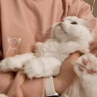 Стикер Я заебалась создавать новые стикеры - 7