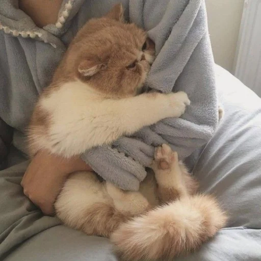 Sticker Ssssssttttik3rs - 1