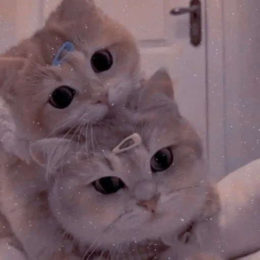 Sticker Ssssssttttik3rs - 1