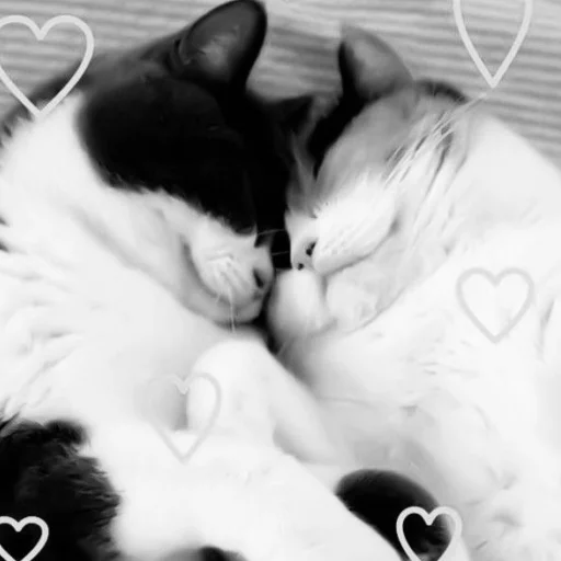 Sticker Ssssssttttik3rs - 1