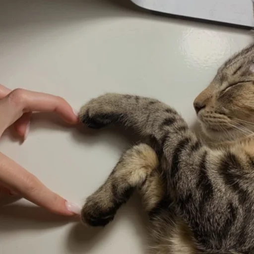 Sticker Ssssssttttik3rs - 1