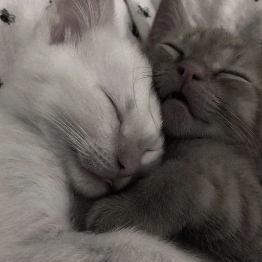 Sticker Ssssssttttik3rs - 1