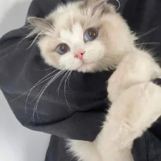 Стикер Я заебалась создавать новые стикеры - 11