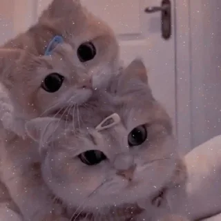 Стикер Я заебалась создавать новые стикеры - 8