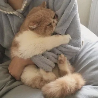 Стикер Я заебалась создавать новые стикеры - 10