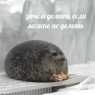 Sticker 💡 Цитаты @Stikerhi_bot - 5