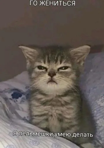 Sticker StIWME1aQs_by_Stikerhi_bot - 1