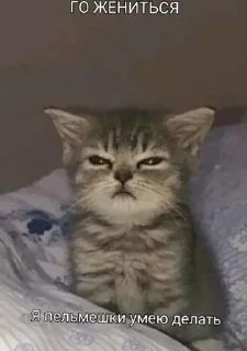 Sticker ачо мы @Stikerhi_bot - 10