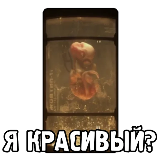 Sticker Ж.Д.А.Л.К.Е.Р. 2 - 8