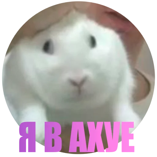 Стикер Stswhr - 7