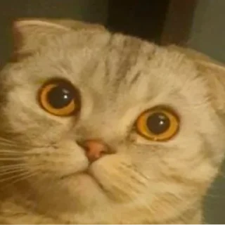 Стикер Stswhr - 10