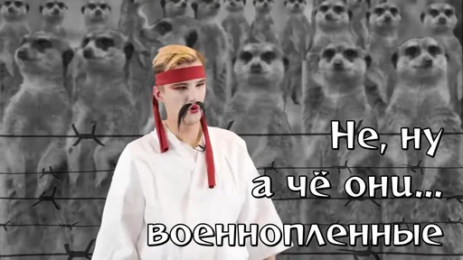 animal clothing screenshot