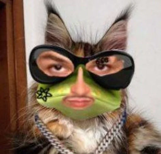 Sticker игнатокоты :: @fStikBot - 5