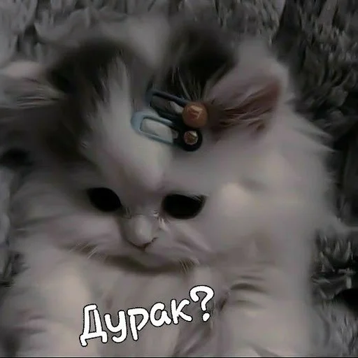 @Stzxcel :: @fStikBot - мультфильм