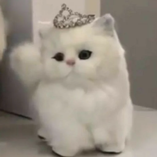 млекопитающее кошки малого и среднего размера животное