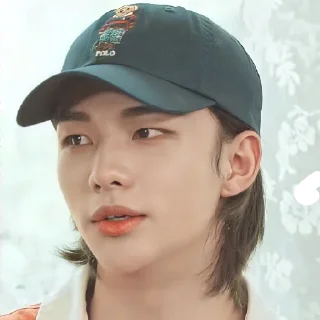 Стикер Стер - 1