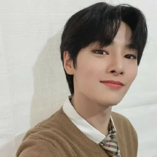 Стикер Стер - 0