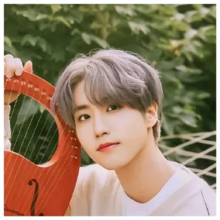 Стикер Стер - 10