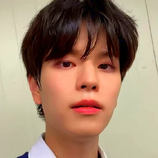 Стикер Стер - 5