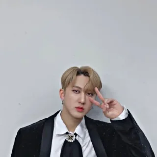 Стикер Стер - 4