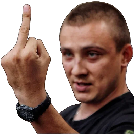 Стикер Sternenko by Danylenko 🤙🍉 - 10