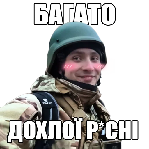 Стикер Sternenko by Danylenko 🤙🍉 - 4