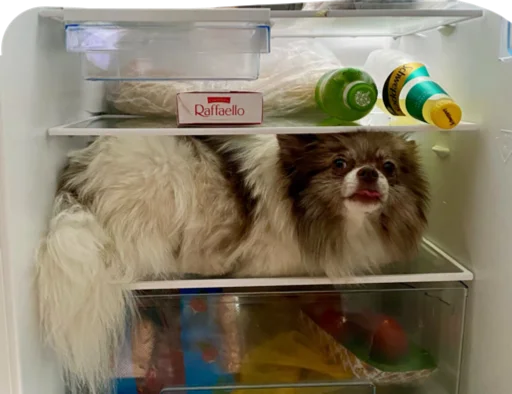 Sticker Stesha_pom - 1