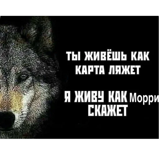 Sticker Sthorm123456 - 1