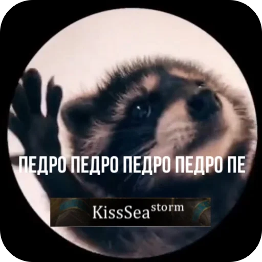 Sticker Sthorm123456 - 1