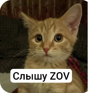 Стикер Стичище - 3