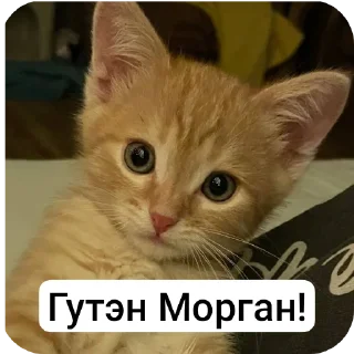 Стикер Стичище - 6