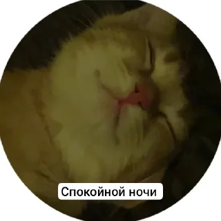 Стикер Стичище - 1