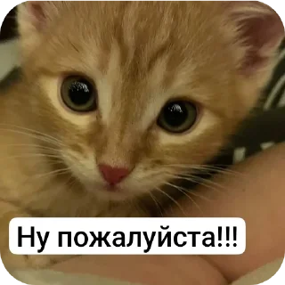 Стикер Стичище - 4