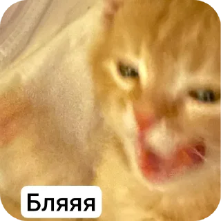 Стикер Стичище - 7