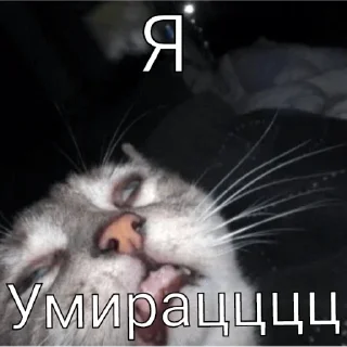 Sticker Tg-@StickIZ12 - 3