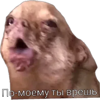 Sticker Tg-@StickIZ12 - 0