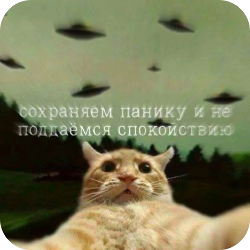 Sticker StickKakPack_by_TgEmodziBot - 1