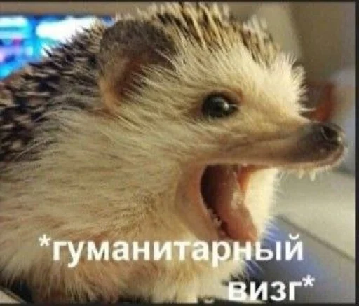 Sticker StickKakPack_by_TgEmodziBot - 1