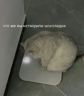 Стикер Стикеры @TgEmodziBot - 5