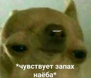 Стикер Стикеры @TgEmodziBot - 8