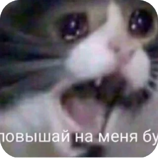 Стикер Стикеры @TgEmodziBot - 4