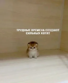 Стикер Стикеры @TgEmodziBot - 6