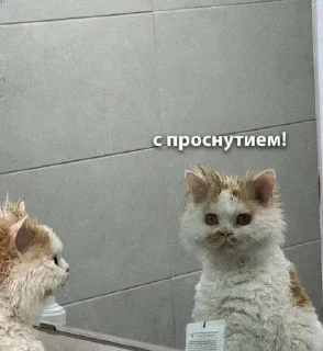 Стикер Стикеры @TgEmodziBot - 10