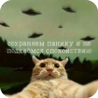 Стикер Стикеры @TgEmodziBot - 9