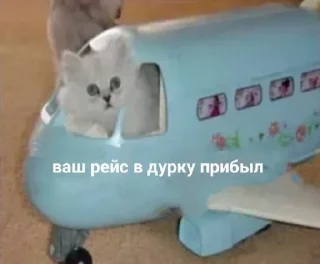 Стикер Стикеры @TgEmodziBot - 1