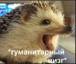 Стикер Стикеры @TgEmodziBot - 3