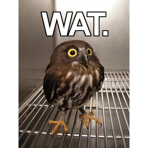 Sticker StickMomFriend - 1