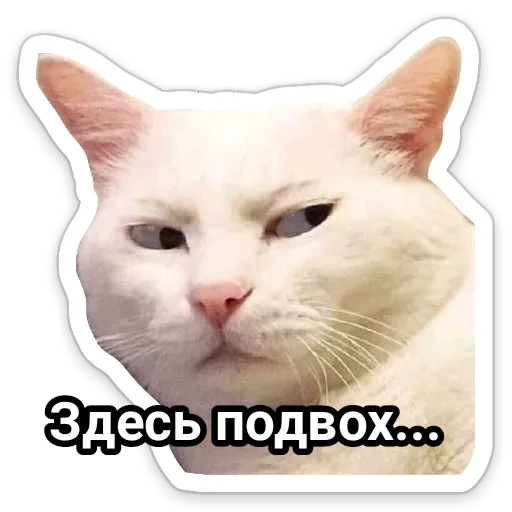 млекопитающее животное СМС